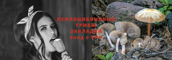 метамфетамин Липки