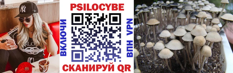 Купить закладки  Дзержинский  Галлюциногенные грибы MAGIC MUSHROOMS 