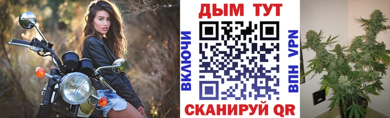 Бошки Шишки сатива  Купить где  Дзержинский 